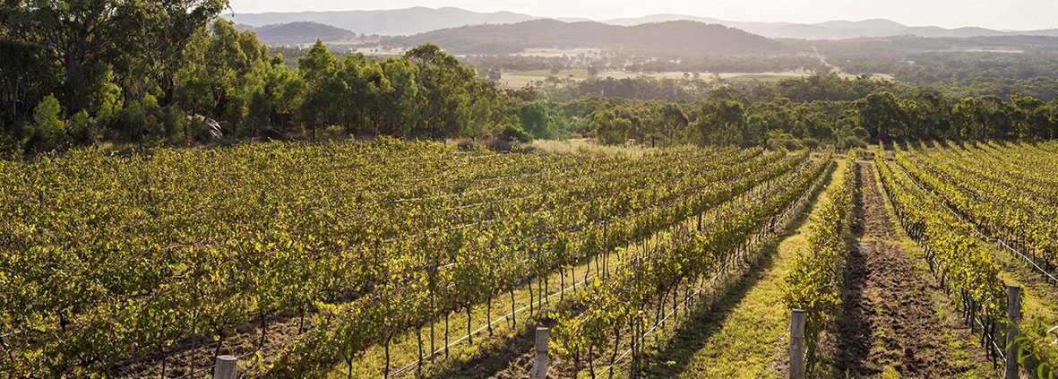 How Queensland’s Salad Bowl grew to become one of Australia’s elite wine regions - Sirromet