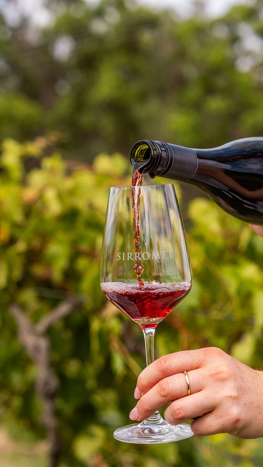 2021 Old Vine Shiraz - Sirromet