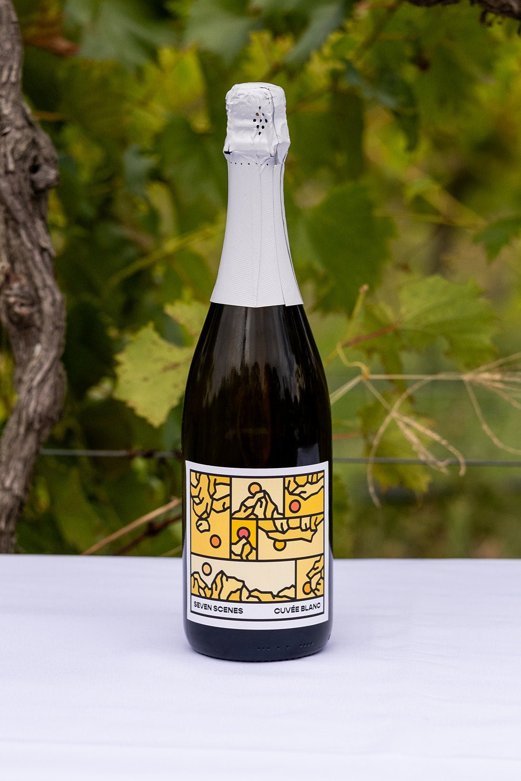Seven Scenes Cuvée Blanc - Sirromet