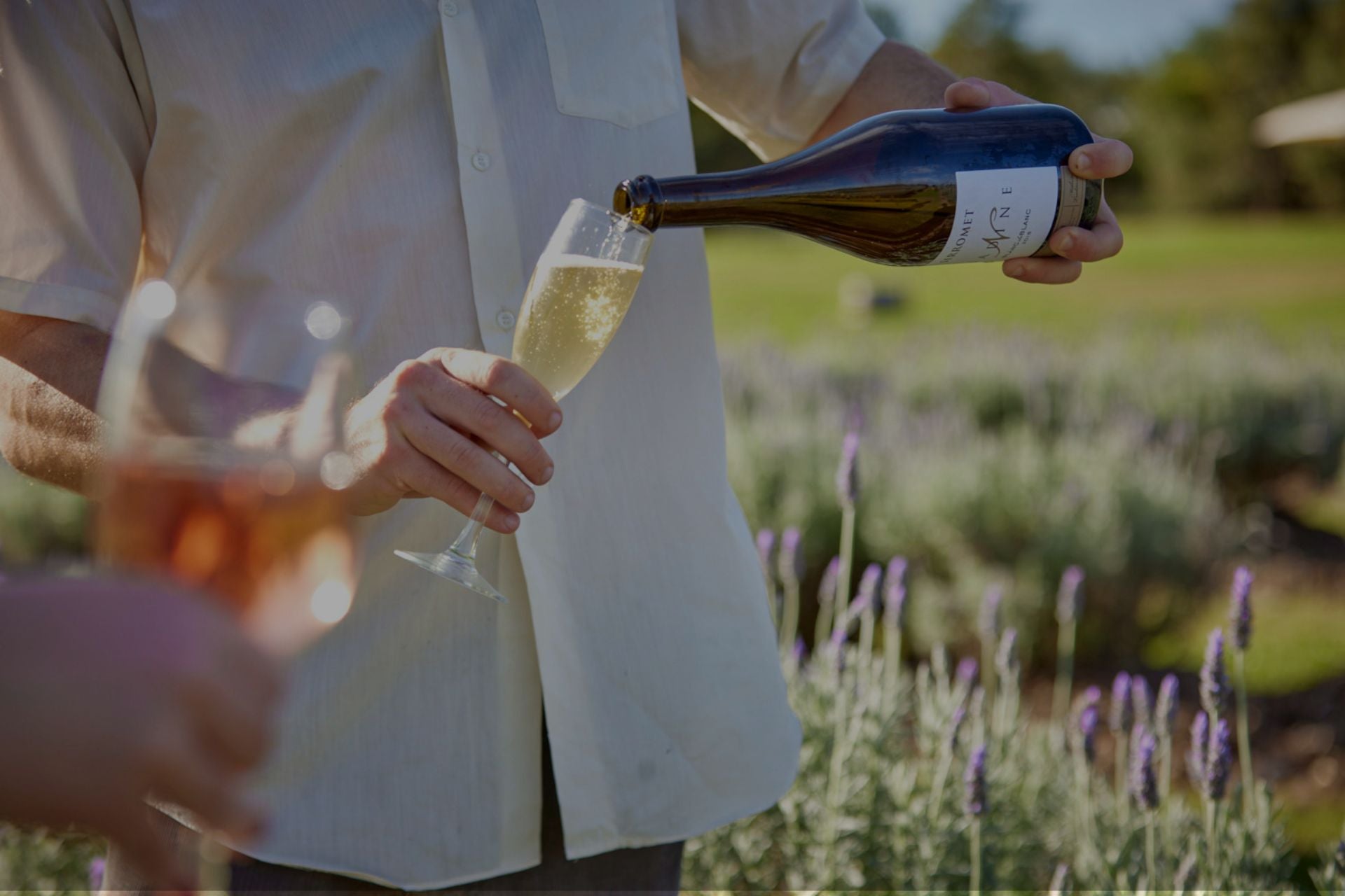 Man pouring a glass of wine