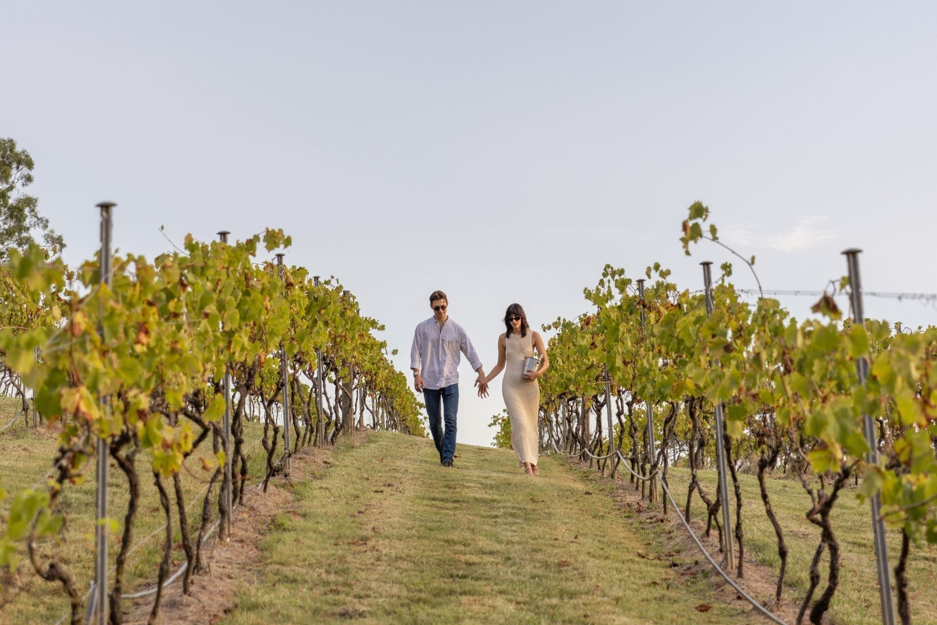 A Romantic's Guide to Winery Experiences at Sirromet..
