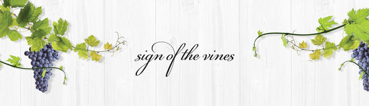 It all starts in the vineyard - Sirromet
