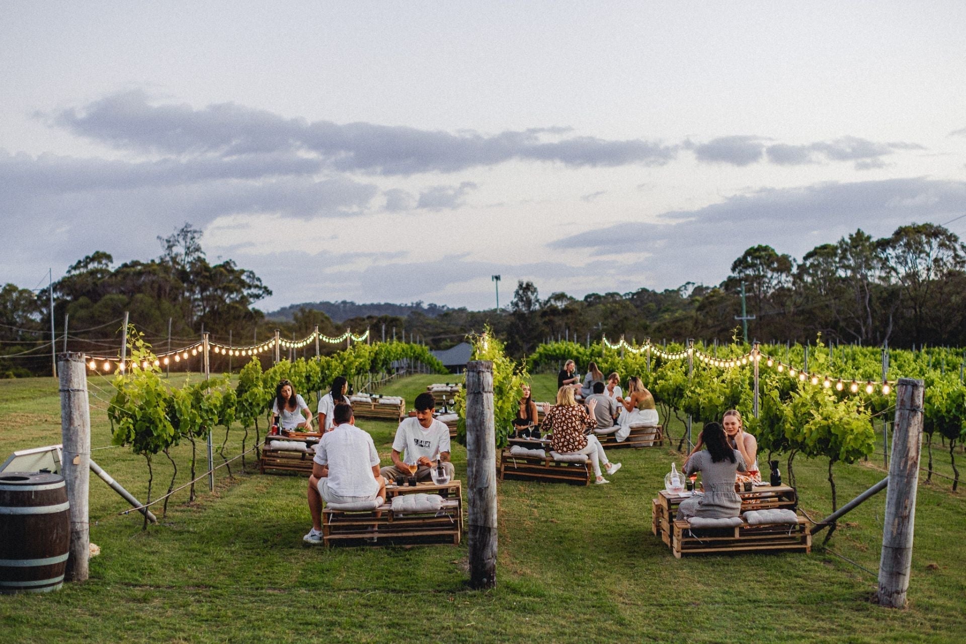Sirromet Recognised as a 2026 Best of Queensland Experience - Sirromet