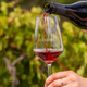 Red Wines
