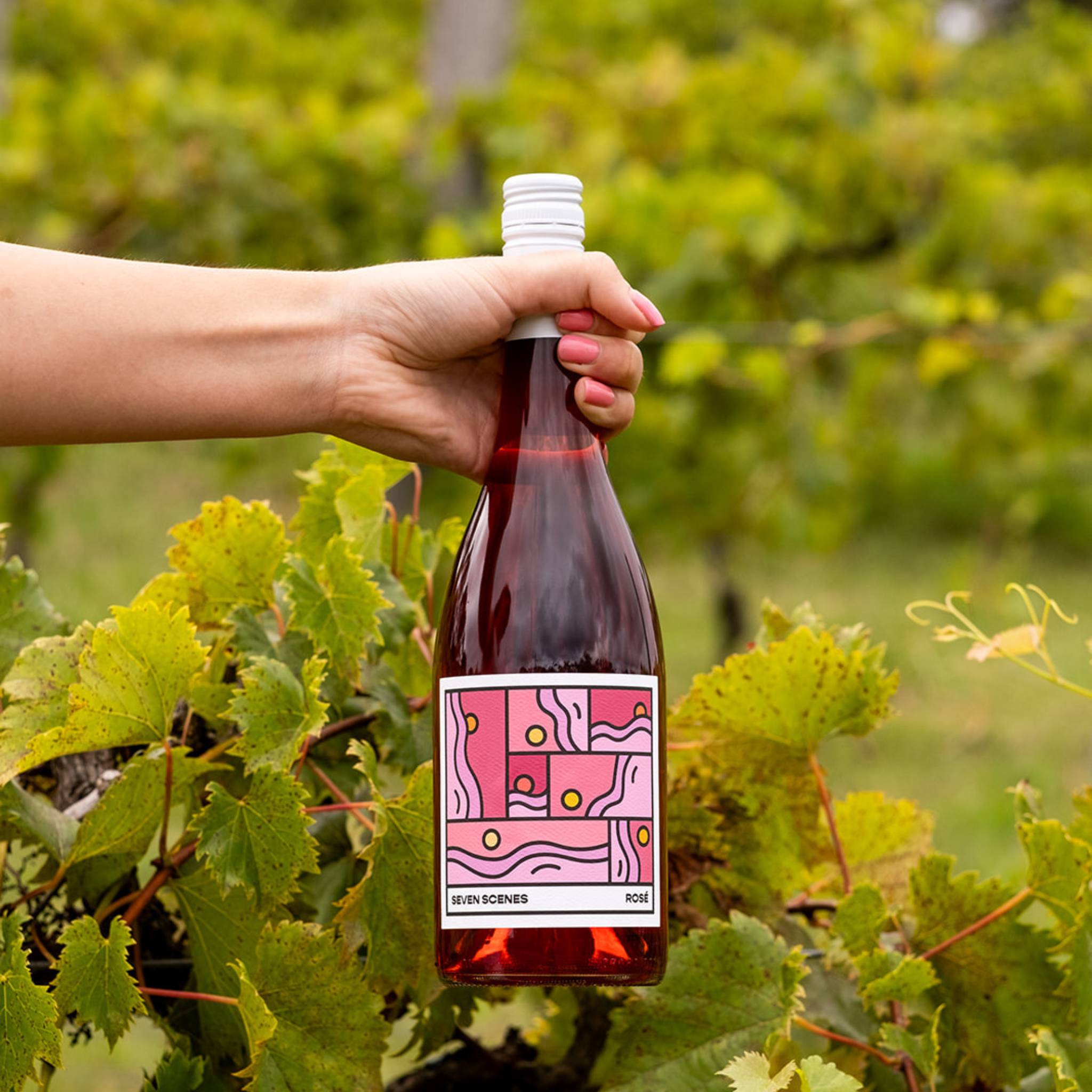 Rosé Wines - Sirromet