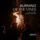 2026 Burning of the Vines - Sirromet