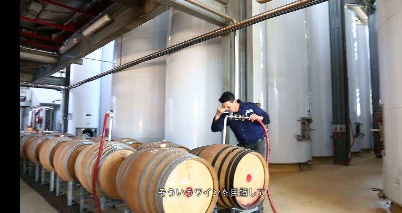 Winemakers with large wine vats in the production facility