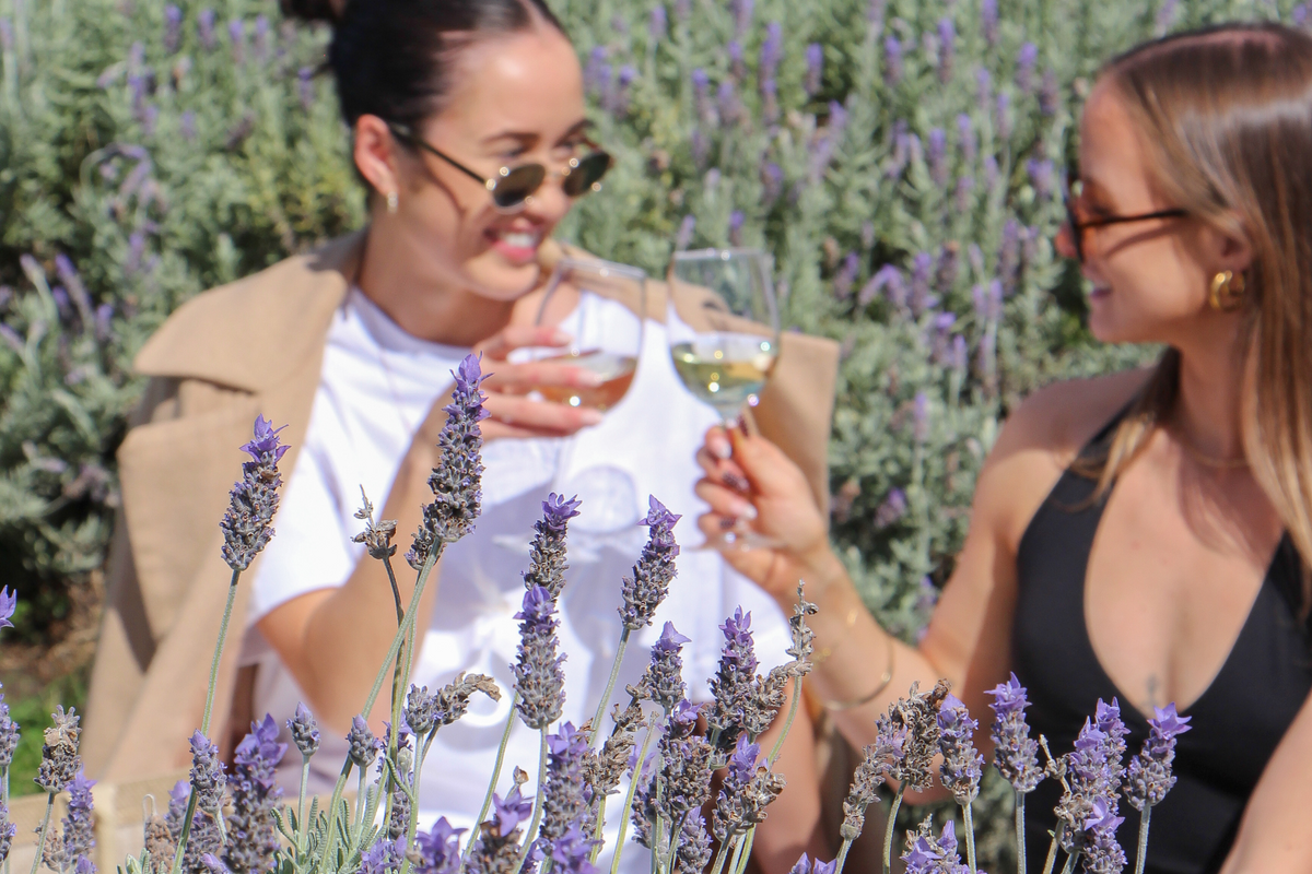 Sirromet Winery - Dine, Wine, Stay, Celebrate, Tour
