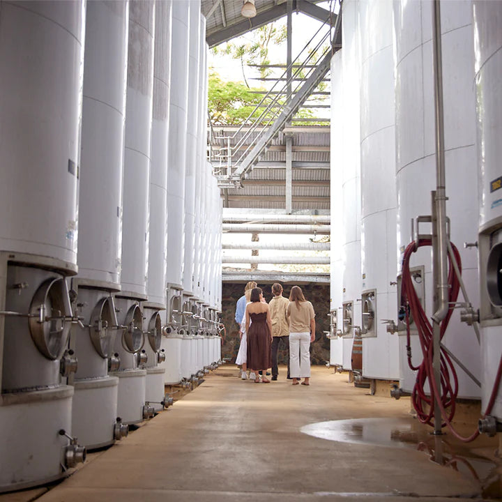 Group of visitors on the Sirromet wine tour viewing the large wine vats