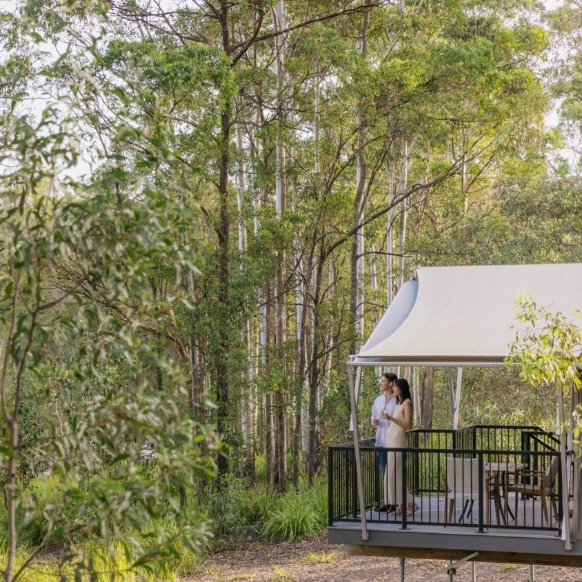 Couple standing on the deck of a glamping pavilion surrounded by bushland