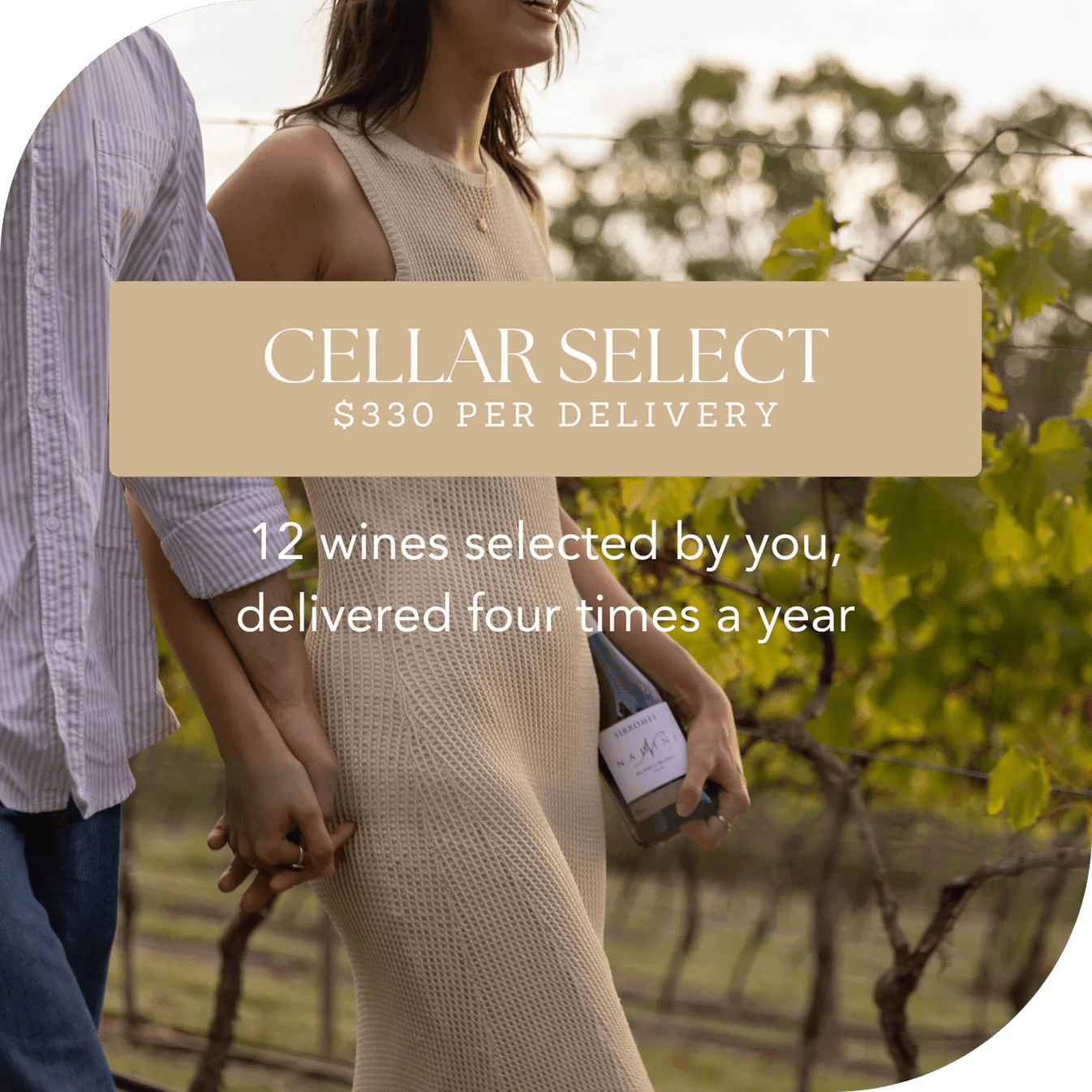 Cellar Select (12 wines) - quarterly