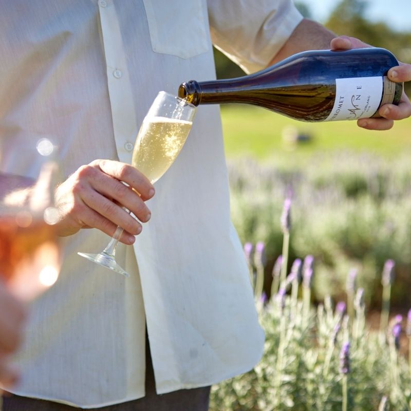 male club member pouring glass of sparkling
