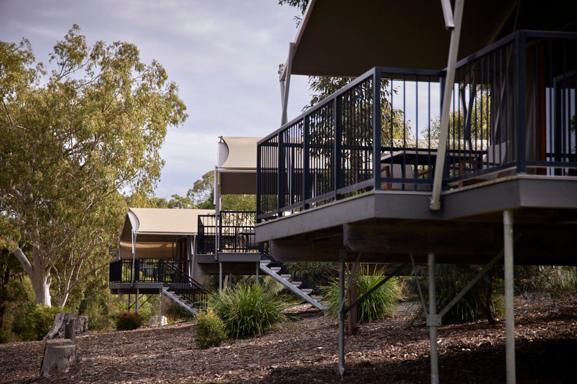 Family Pavilions Sanctuary at Sirromet 