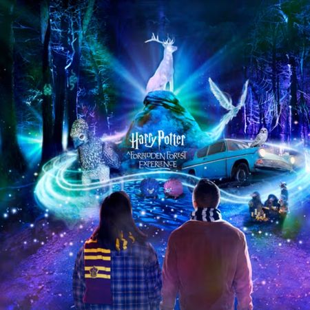 View of the forest at the Harry Potter - The Forbidden Forest event