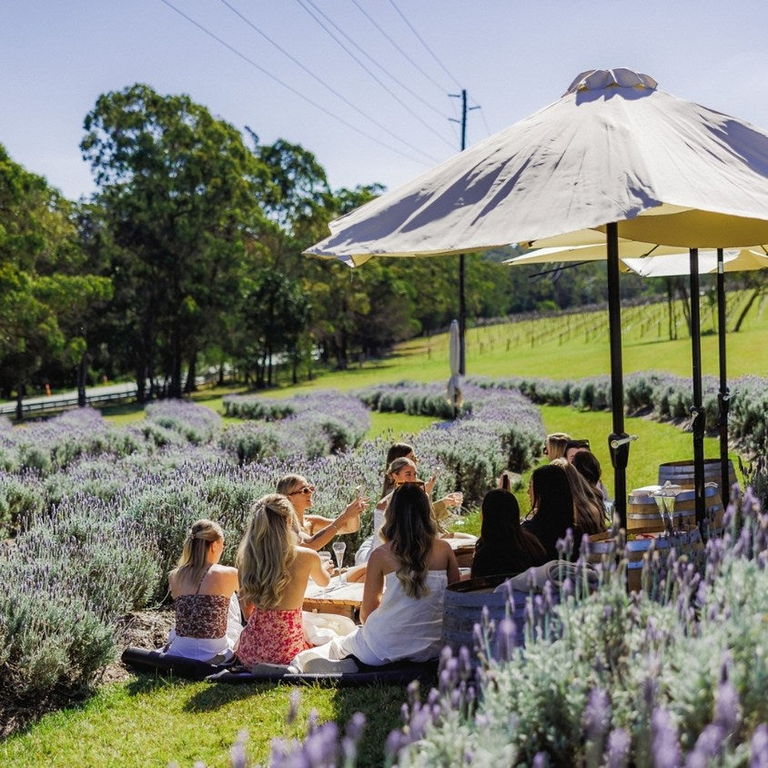 Group of friends sitting on picnic rug eating and drinking on a lavendar hill in the sunshine