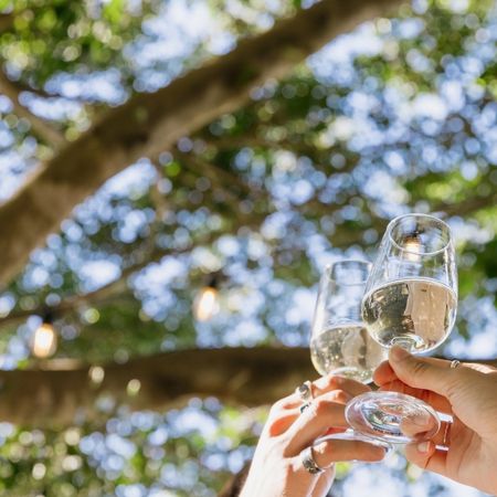People offering a cheers with wine glasses