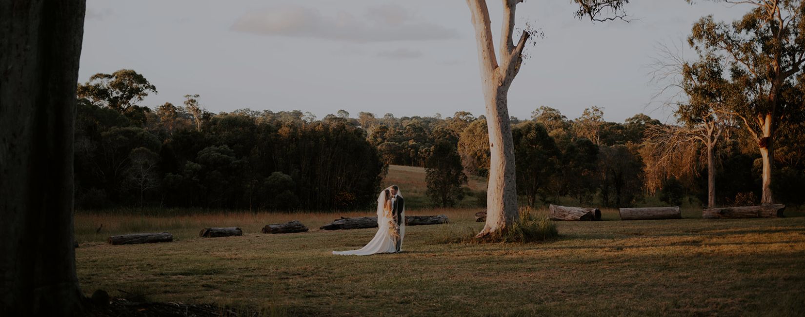 Bride and Groom kissing under a tree with greenery all around