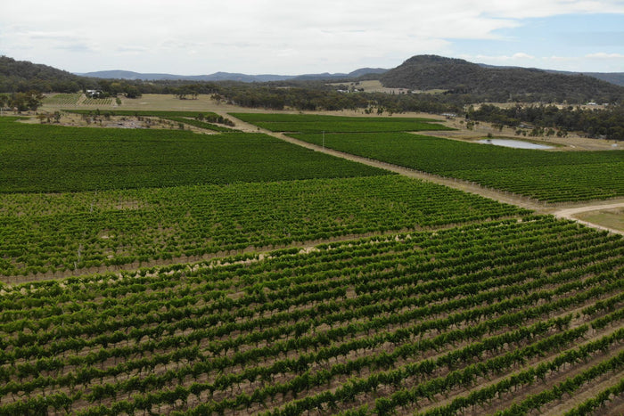 Sirromet - A Best Of Queensland Awarded Experience
