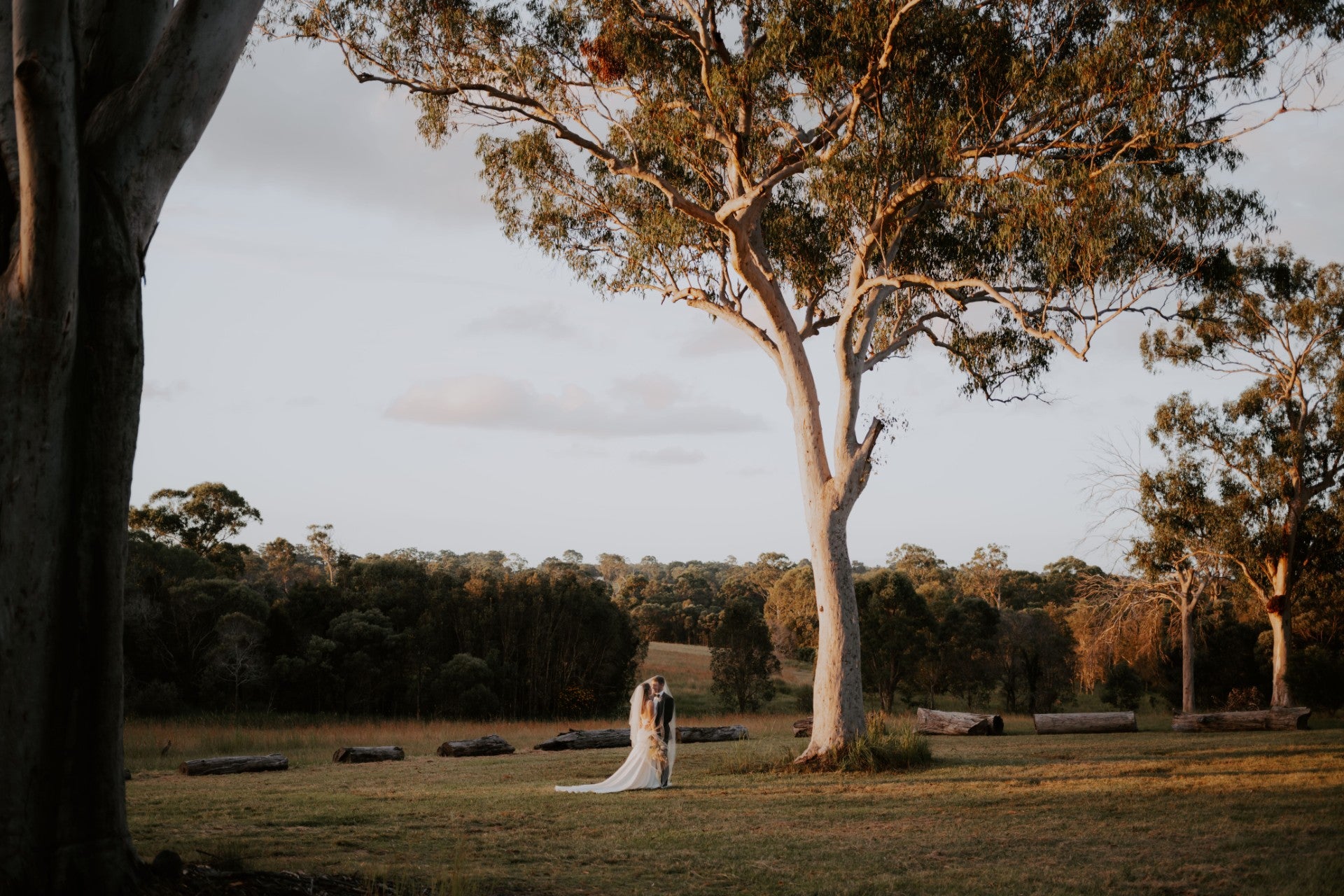 Bride and Groom kissing in the distnace under a tree