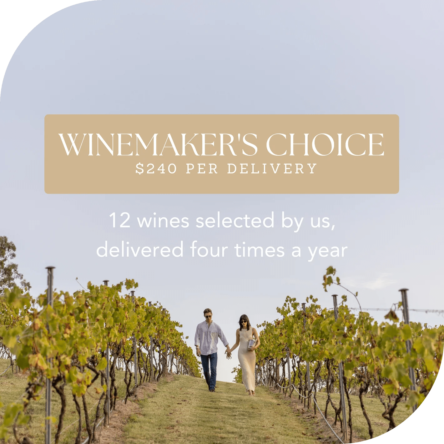Winemaker’s Choice (12 wines) - Sirromet